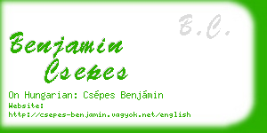 benjamin csepes business card