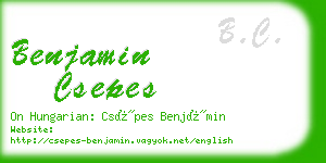 benjamin csepes business card